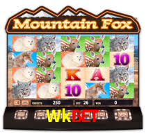 Wkbet,Wkbet Com